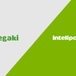 intelipost compra rede pegaki